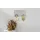 Sconto Garderobenpaneel Grace 60 x 30 x 7 cm Sand