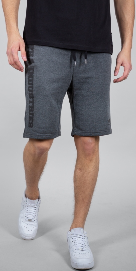 Alpha Industries Big Letters Shorts, grijs, S Voorman