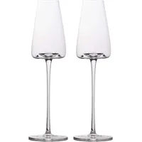 Intirilife Sektglas 0,22 l 2 St.
