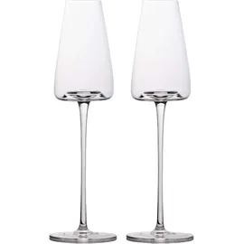 Intirilife Sektglas 0,22 l 2 St.