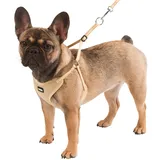 Kerbl Pet Welpengeschirr mit Leine, beige, 30-50 cm/10 mm