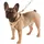 Kerbl Pet Welpengeschirr mit Leine, beige, 30-50 cm/10 mm
