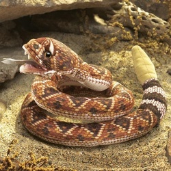 Folkmanis Klapperschlange / Rattlesnake