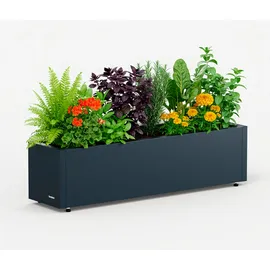 Herstera Pflanzkasten 100 x 25 x 25 cm Anthrazit