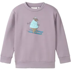 TOM TAILOR Jungen Sweatshirt mit 3D-Print, lila, Print, Gr. 92/98