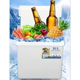 OEM Kühlbox 10 l