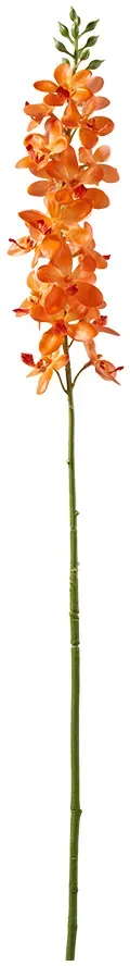 Orchidee 90cm Dendrobium orange
