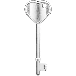 Mellbree Toilettenschlüssel für Behinderten-WC, verbesserter Ganzmetall-Toilettenschlüssel für britische Behinderten-Toiletten