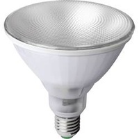Megaman LED Pflanzenlampe E27 12W (MM154)