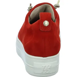 Paul Green 5017 salsa 38