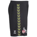 hummel 1. FC Köln Shorts Home 23/24 Kinder - schwarz/grün - 164