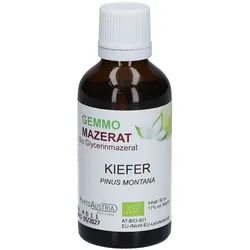 PhytoAustria Gemmo Mazerat Kiefer Bio Glycerinmazerat