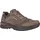 Lowa Renegade Evo GTX Lo in braun - Gr.: 45