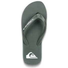 QUIKSILVER Molokai Core khaki 43