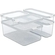 Rotho Kühlschrankorganizer Set 29,2 x 28,4 x 17 cm 5-tlg. transparent