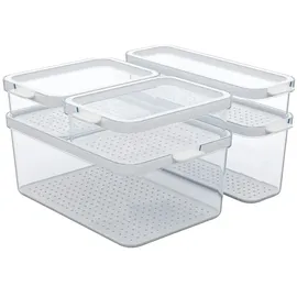Rotho Kühlschrankorganizer Set 29,2 x 28,4 x 17 cm 5-tlg. transparent