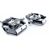 Cube CLICK A2-ZP Grau