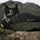 adidas Terrex Free Hiker 2.0 GTX Core Black/Carbon/Olive Strata 44 2/3