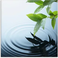 Glasbild ARTLAND "Pflanze und Wasser", blau (farbe bild(er): blau), B:20cm H:20cm, Bilder, in verschiedenen Größen