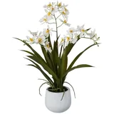 Kunstpflanze Cambria-Orchidee im Keramiktopf, 50 cm, weiß