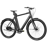 Crivit Urban X (2023) schwarz