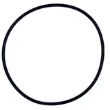 OKU Obermaier GmbH O-Ring Ø 145 x 8 mm für den Spannring der OKU ECO und Bali Sandfilteranlage