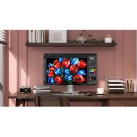 TCL Gaming Monitor 25G54 25" blau