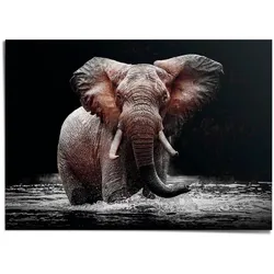 Reinders! Poster »Elefant« Reinders! schwarz mit Motiv Elefant, Gr. 140 x 100 cm
