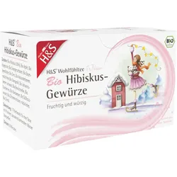 H&S Wintertee Bio Hibiskus-Gewürze Filterbeutel