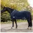 Waldhausen Regen-Fliegendecke Comfort 145 cm Blau