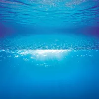 JUWEL AQUARIUM Aquariendeko Rückwand Poster 2 L 100 x 50 cm