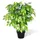 vidaXL Künstlicher Zwerg-Ficus mit Topf 60 cm