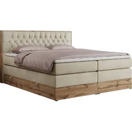 MKS Meble Amore King 160 x 200 cm H3 Beige