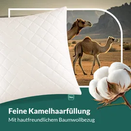 fan Kamelhaar Kopfkissen 40 x 80 cm Beige
