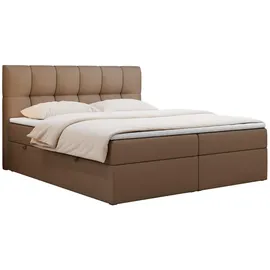 MKS Boxspringbett 140 x 200 cm H3 Braun