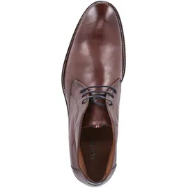 LLOYD HASTINGS, braun(tdmoroocean (23)), Gr. 11 / braun, - 46