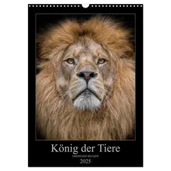 König der Tiere (Wandkalender 2025 DIN A3 hoch), CALVENDO Monatskalender