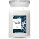 Yankee Candle Midnight Jasmine große Kerze 567 g