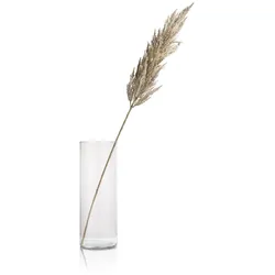 Coco Maison Pampas Grass Spray Kunstpflanze H115cm - Creme