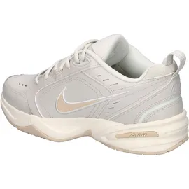 Nike Air Monarch IV Light Bone/Sanddrift/Spruce Aura 42,5