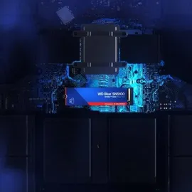 Western Digital SN5100 1 TB M.2 2280