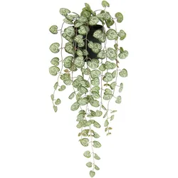 Kunstpflanze I.GE.A. "Kunstpflanze Leuchterblume Hängende Pflanzen künstlich", grün (grün, rot), B:18cm H:45cm L:14cm, Polyester, Kunstpflanzen, Hänger Busch Ranke Girlande Blumenampel Deko Grünpflanze Kunstblumen