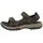 Teva Langdon walnut 40,5