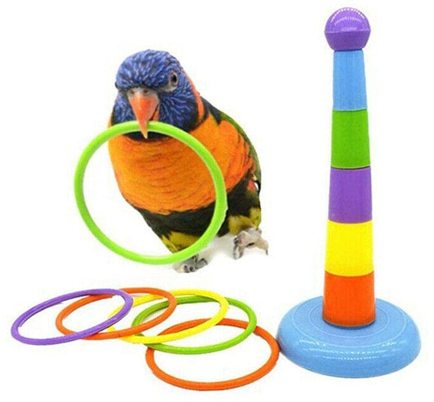 XCSM Pet Birds Toys Set Ferrule Game Plastikringe Bird Training Toys Papagei Intelligenz Spielzeug Höhe Verstellbarer Wurfring für kleine mittlere Sittiche Nymphensittich Conure Zufällige Farbe