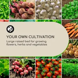 Blumfeldt High Grow Straight Hochbeet 200 x 60 x 100 cm Grau