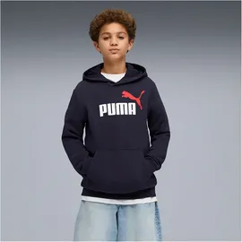 Puma Hoodie Blue 164