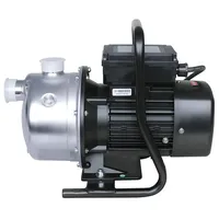 Evenes Gartenpumpe 1000 Watt DN25