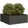 vidaXL Pflanzkübel 80 x 80 x 30 cm Schwarz