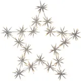 StarTrading LED Stern Flower Star - hängend - D: 60cm - 200 warmweiße LED - inkl. Trafo - Ou...