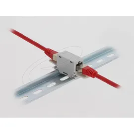 DeLock RJ45 Kupplung Cat.6A Buchse zu Buchse mit Staubschutzklappe